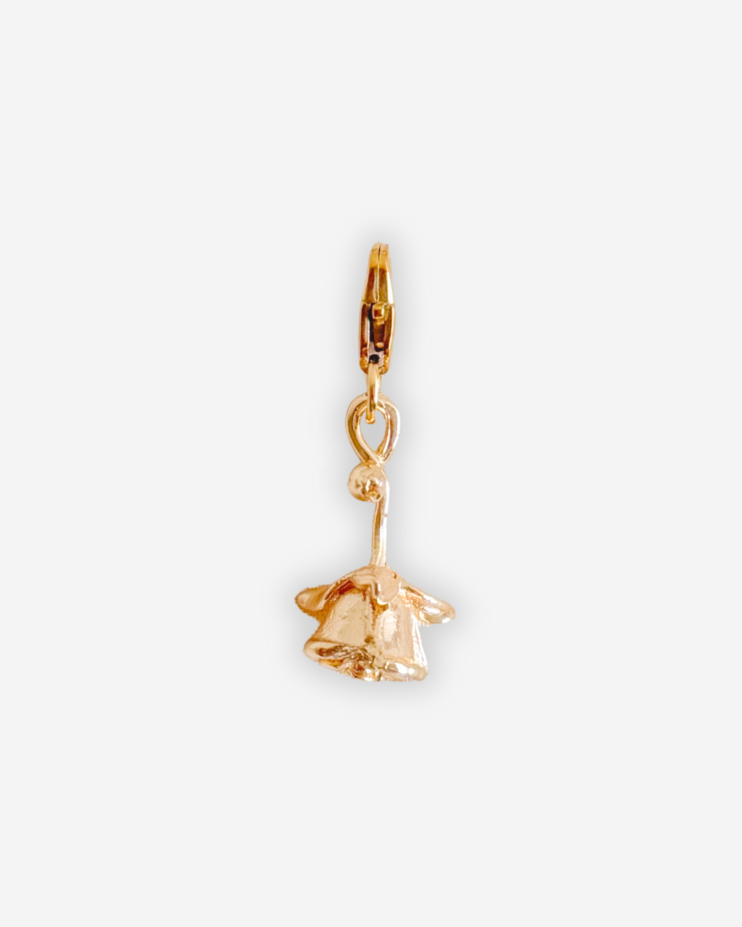 Charm Rosa