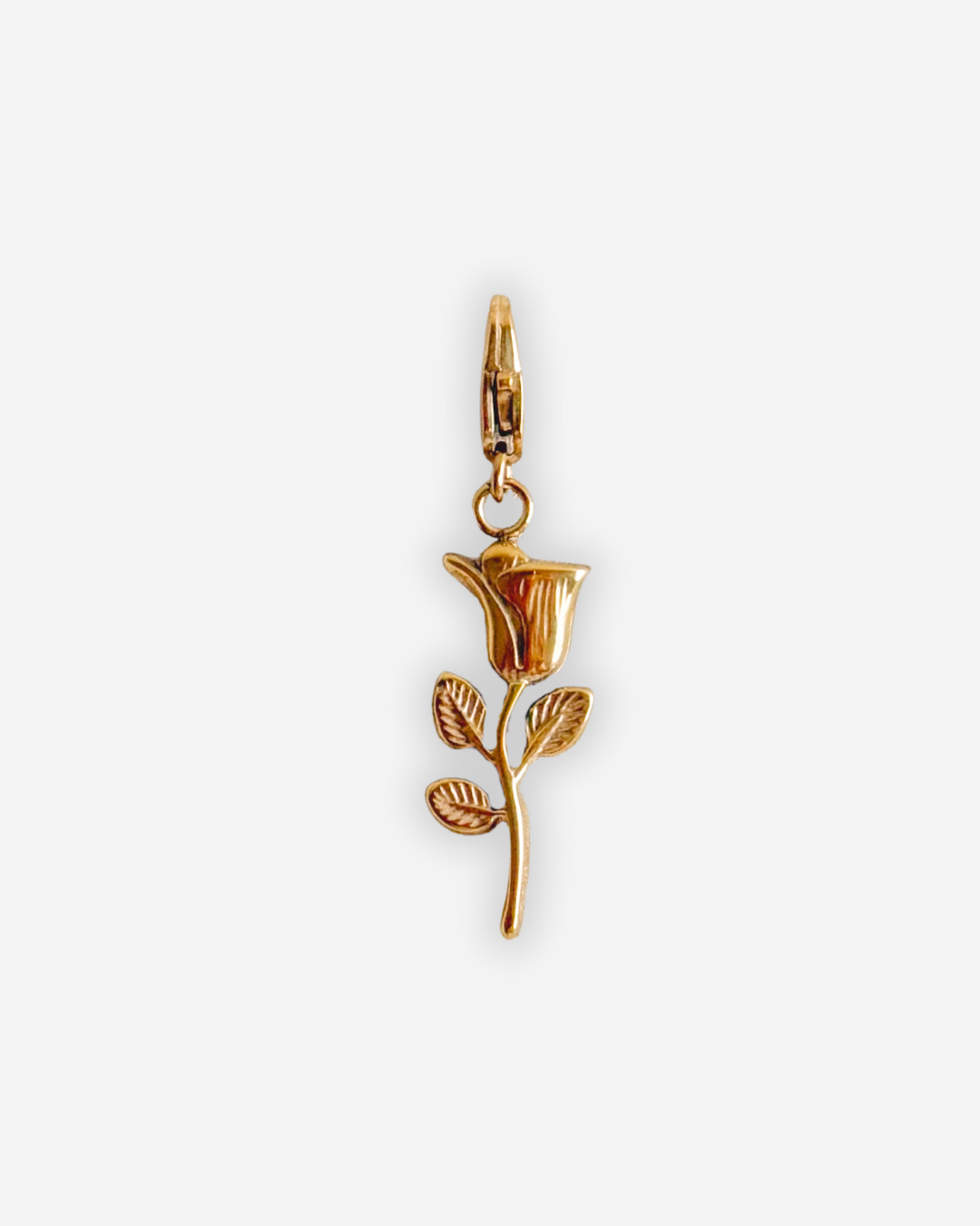 Charm Tulipe